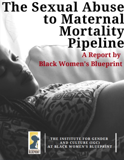 The Sexual Abuse to Maternal Mortality Pipeline Book